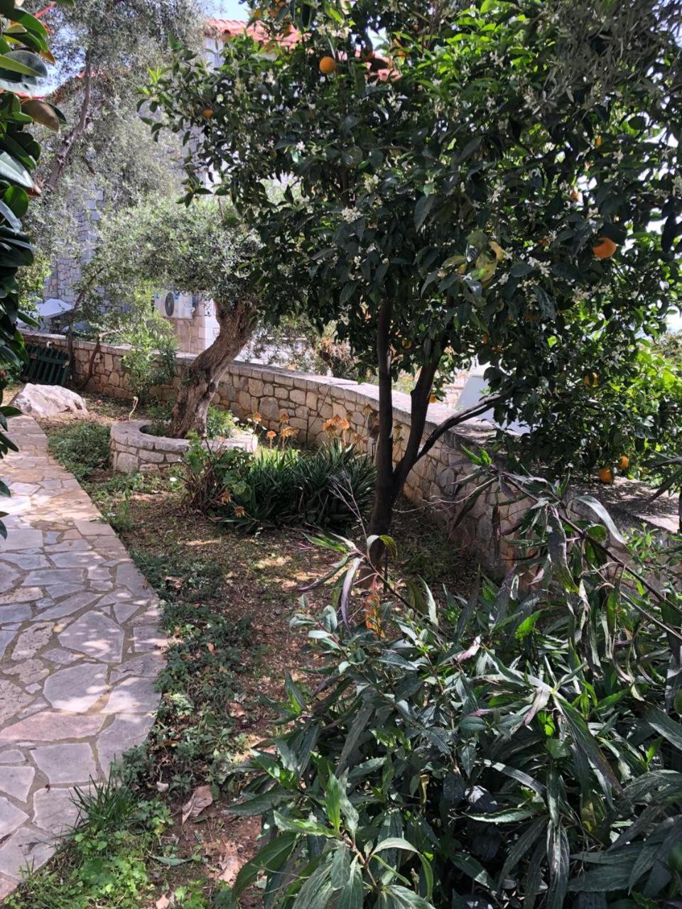 Villa Amanda Neokhorion  Exteriér fotografie